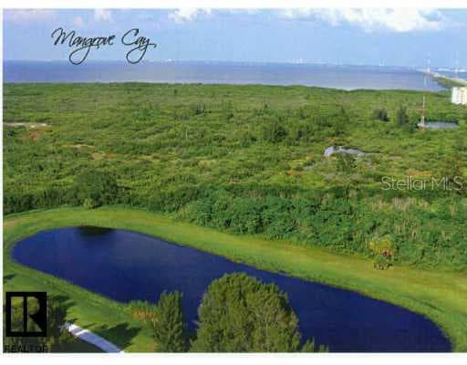 10851 Mangrove Cay LANE NE UNIT #414 St. Petersburg, FL 33716