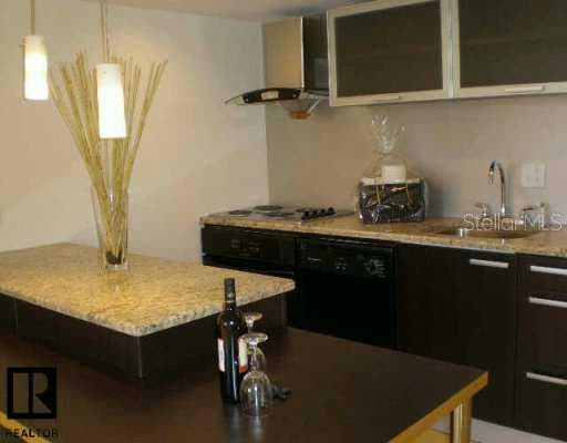 701 Madison UNIT 411 Clearwater, FL 33756