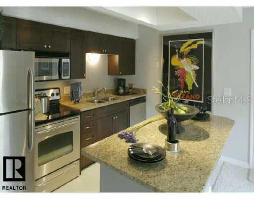 10200 Gandy BOULEVARD UNIT 507 St Petersburg, FL 33702