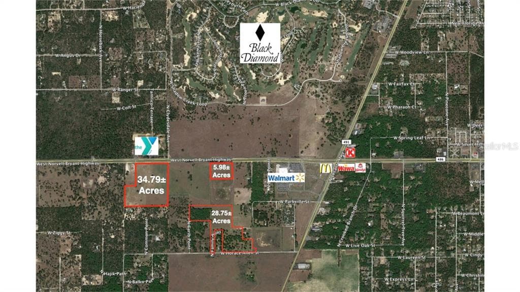 4134 W NORVELL BRYANT HIGHWAY LECANTO, FL 34461