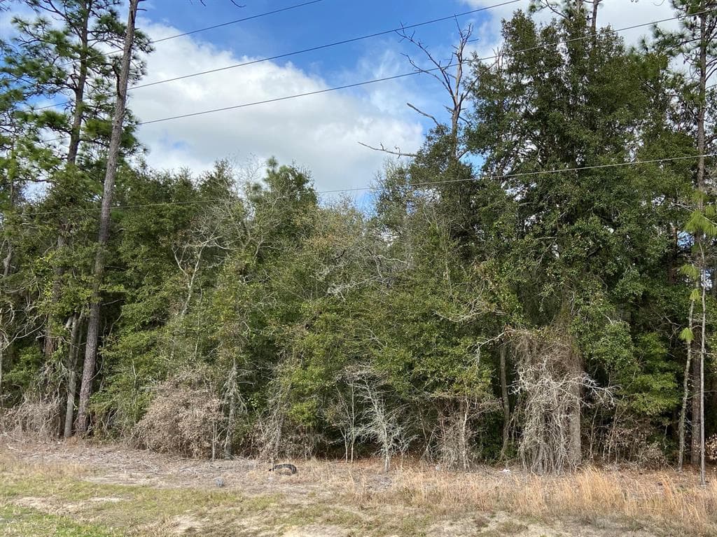 0 NE 27 ALT HIGHWAY BRONSON, FL 32621