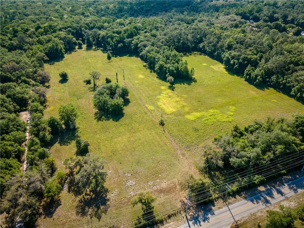16405 LIVINGSTON AVENUE LUTZ, FL 33559