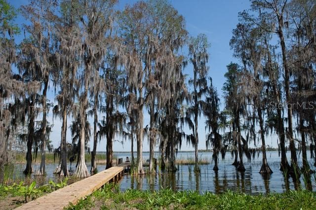 3205 N KINGSWAY ROAD THONOTOSASSA, FL 33592