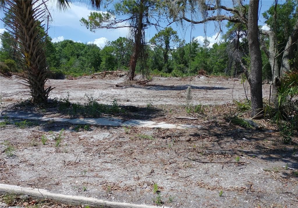 2506 GOLDWYN DRIVE RUSKIN, FL 33570