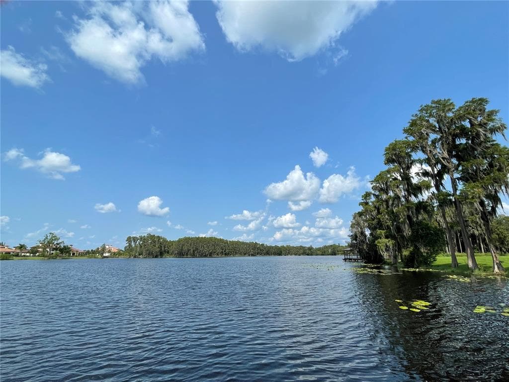 17117 BREEDERS CUP DRIVE ODESSA, FL 33556