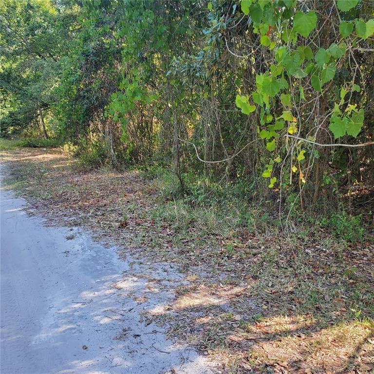 10817 MALATI STREET NEW PORT RICHEY, FL 34654