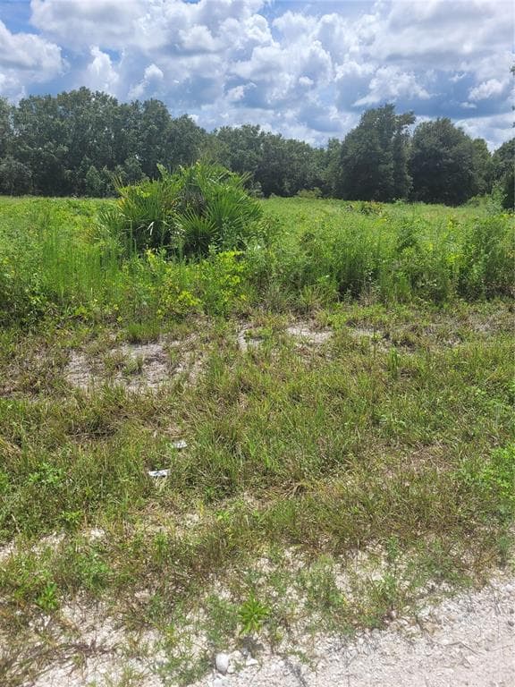 2879 W TAUNTON ROAD AVON PARK, FL 33825