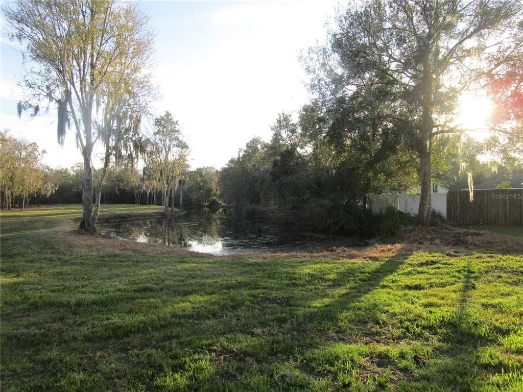 6004 HARWELL ESTATES DRIVE DOVER, FL 33527