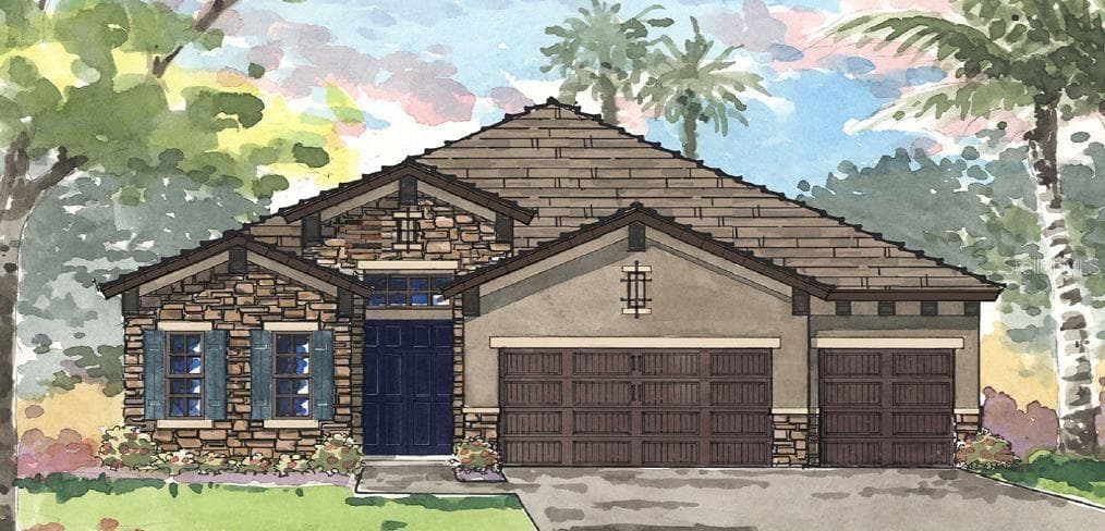3006 SILVA WOOD DRIVE VALRICO, FL 33596