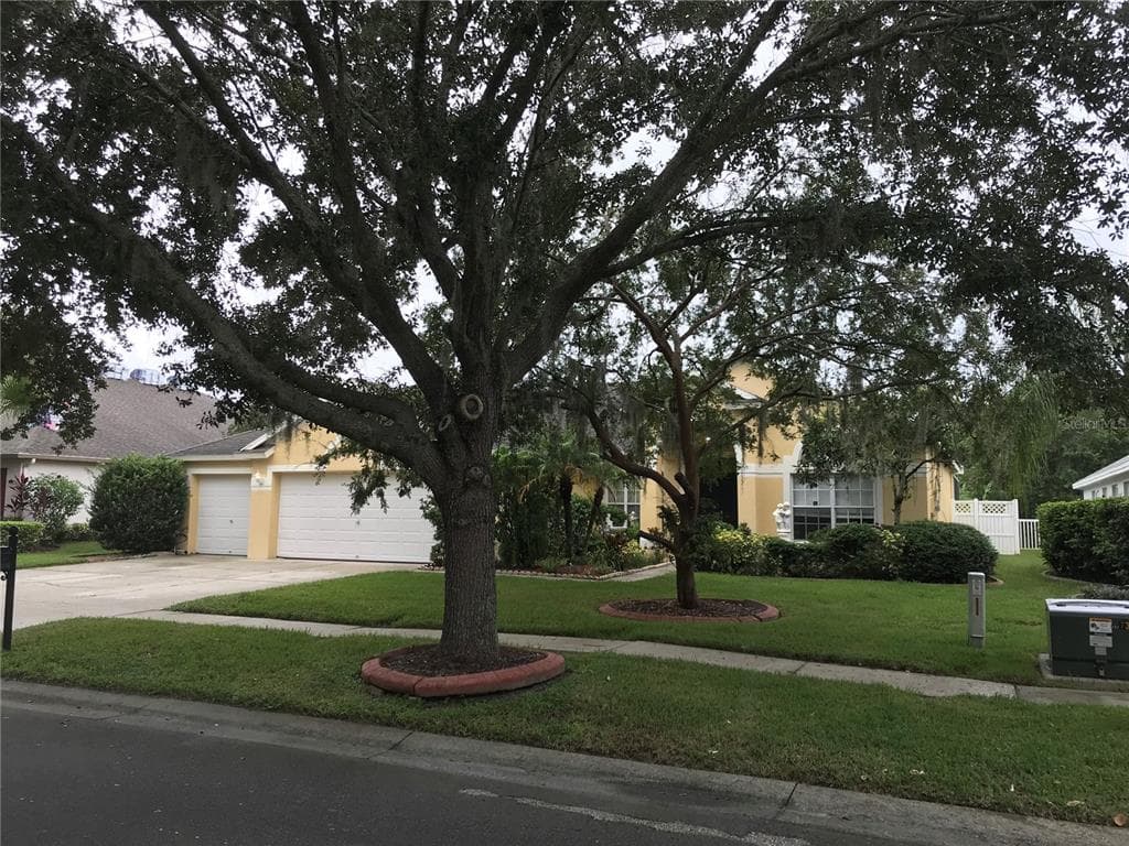 17734 CURRIE FORD DRIVE LUTZ, FL 33558