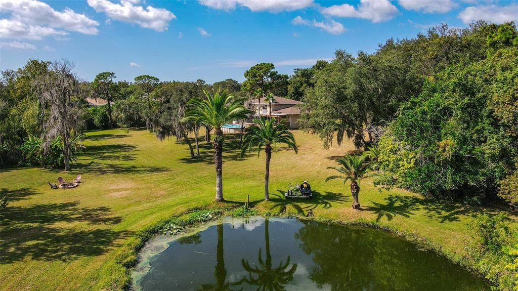 790 N CAMELIA AVENUE TARPON SPRINGS, FL 34689