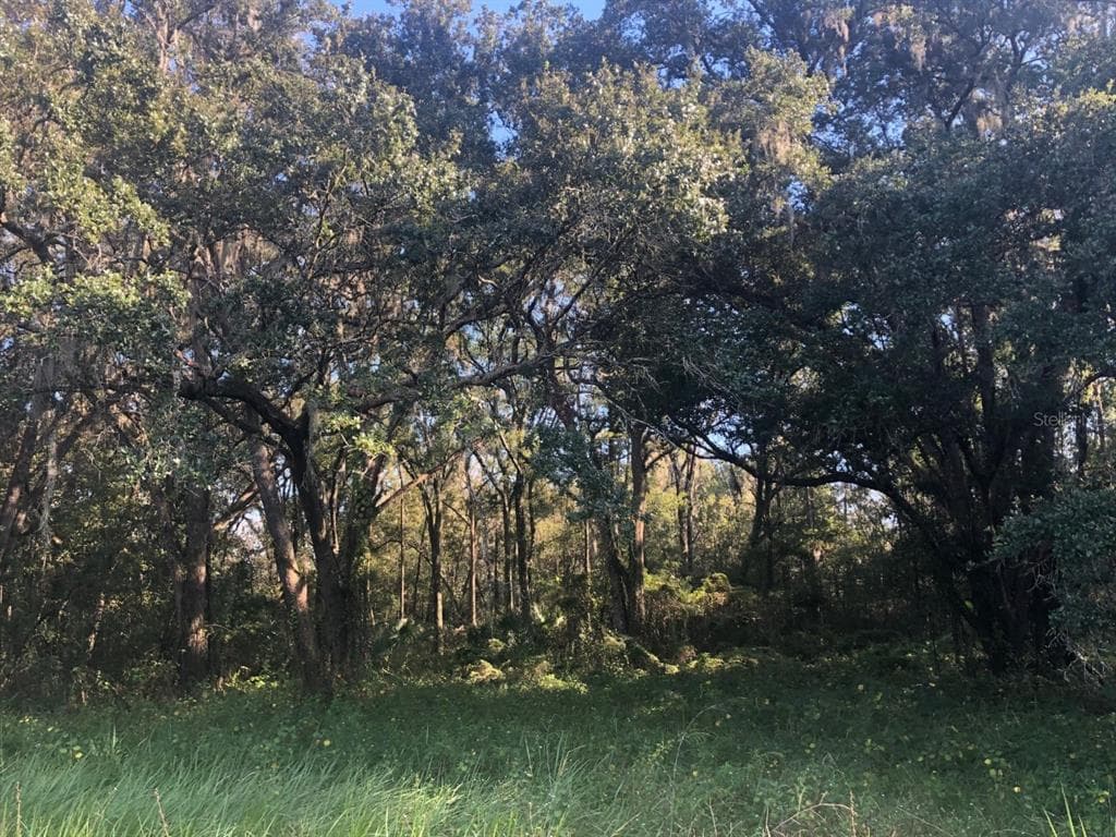 0 FIELDS ROAD LAKELAND, FL 33801