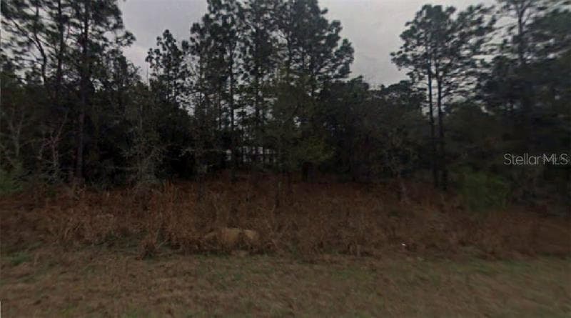 3249 MURRAY INVERNESS, FL 34453