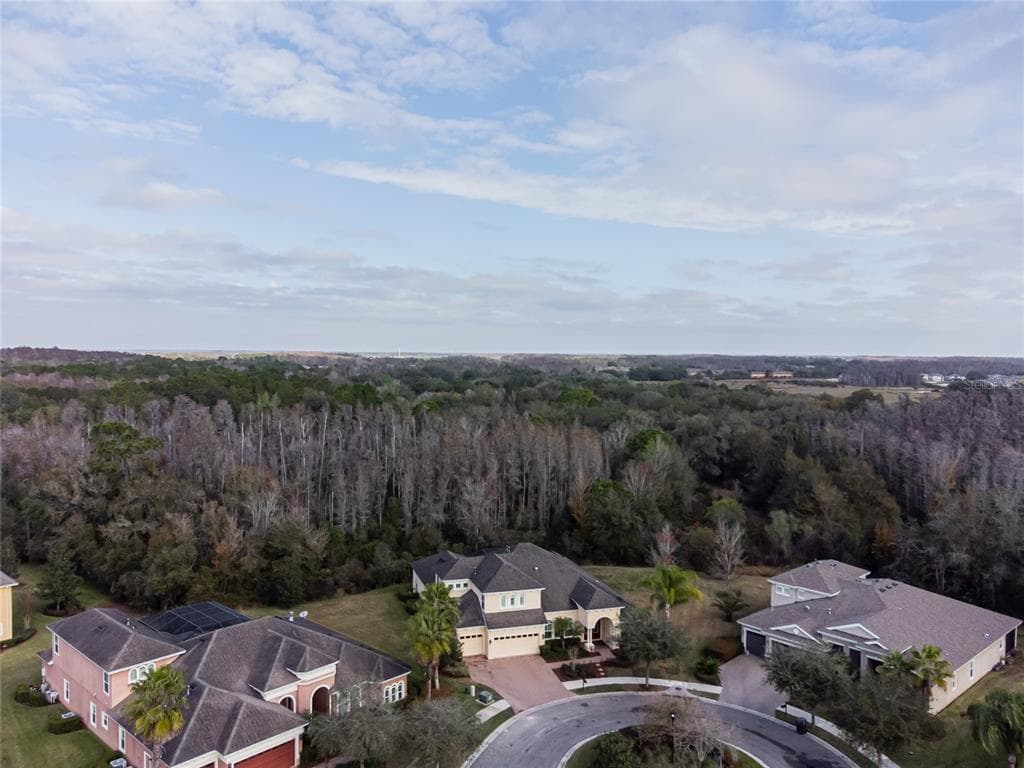 10014 HAZELNUT COURT TAMPA, FL 33647