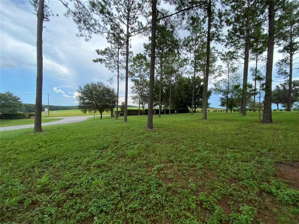 35940 RAMSEY RIDGE DRIVE DADE CITY, FL 33523