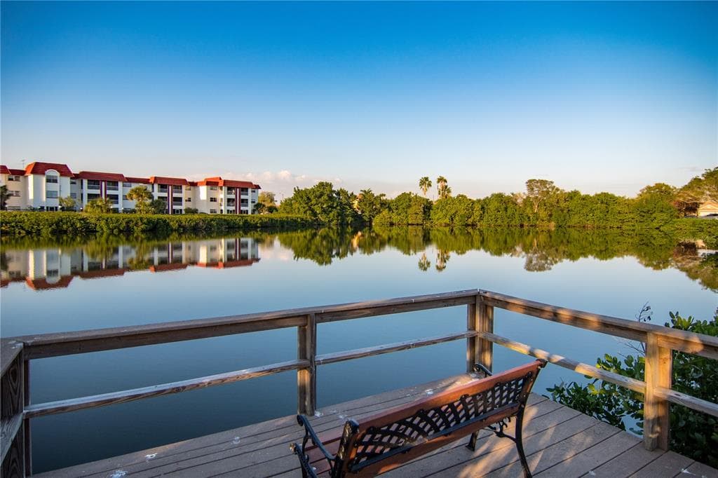 4540 OVERLOOK DRIVE NE UNIT 246 ST PETERSBURG, FL 33703