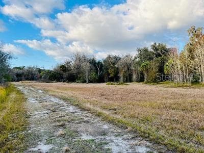 1391 E KEYSVILLE ROAD LITHIA, FL 33547