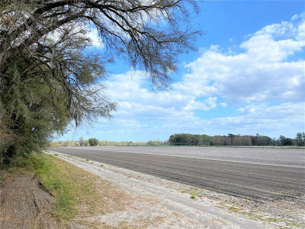 24103 NW COUNTY ROAD 239 ALACHUA, FL 32615
