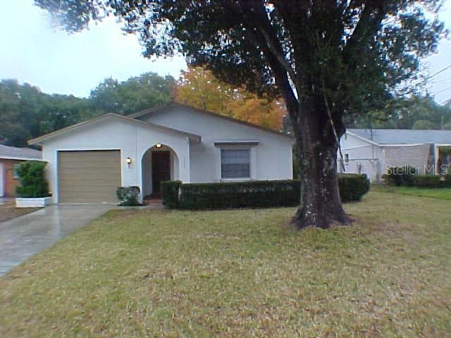 8007 PADDOCK AVENUE TAMPA, FL 33614
