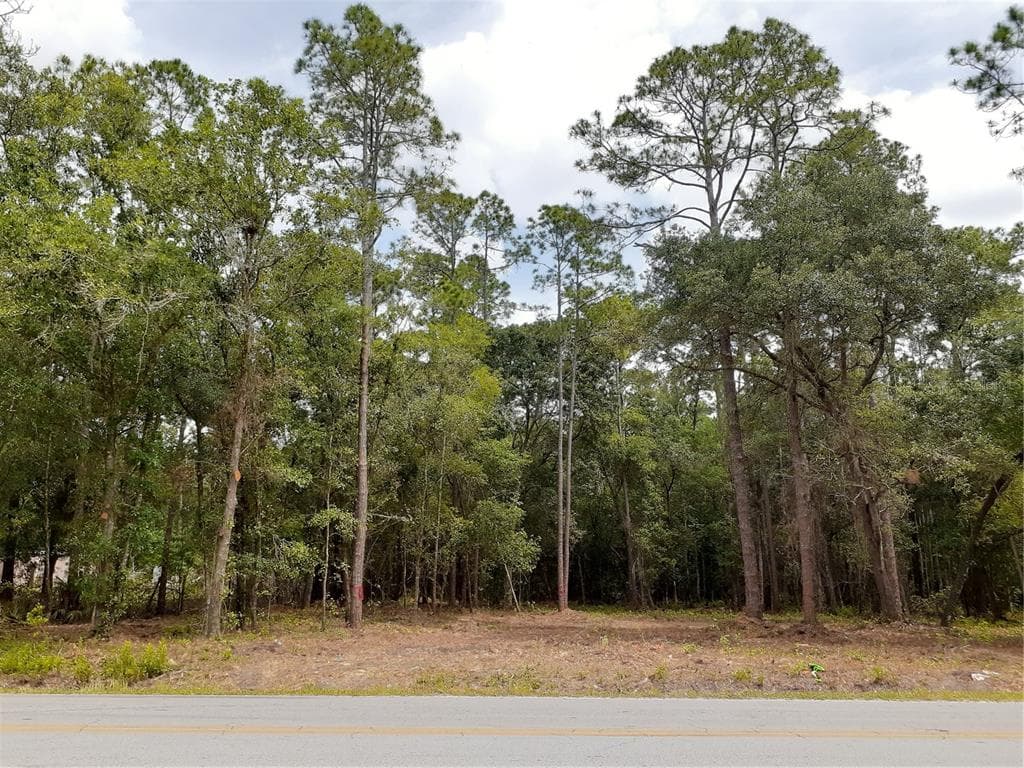 0 CREEKWOOD RUN LAKELAND, FL 33809
