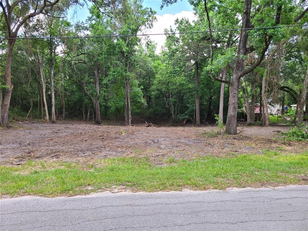 18058 EVENING STAR AVENUE BROOKSVILLE, FL 34604