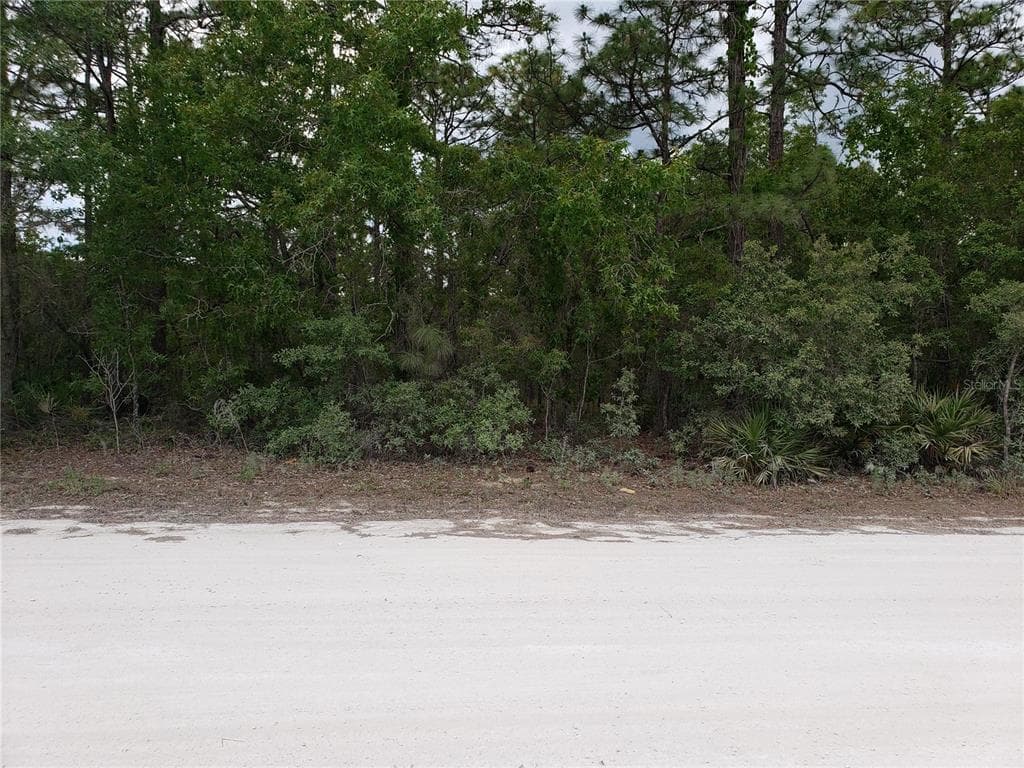 16161 MAGNOLIA WARBLER ROAD BROOKSVILLE, FL 34614