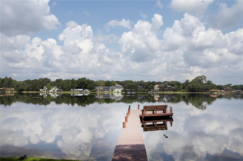 13922 SHADY SHORES DRIVE TAMPA, FL 33613