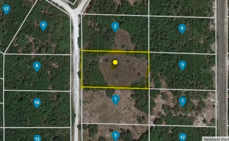 SHORTSTONE DRIVE WEBSTER, FL 33597