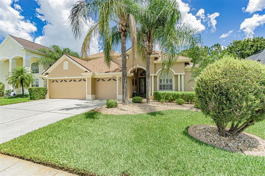 23447 VISTAMAR COURT LAND O LAKES, FL 34639