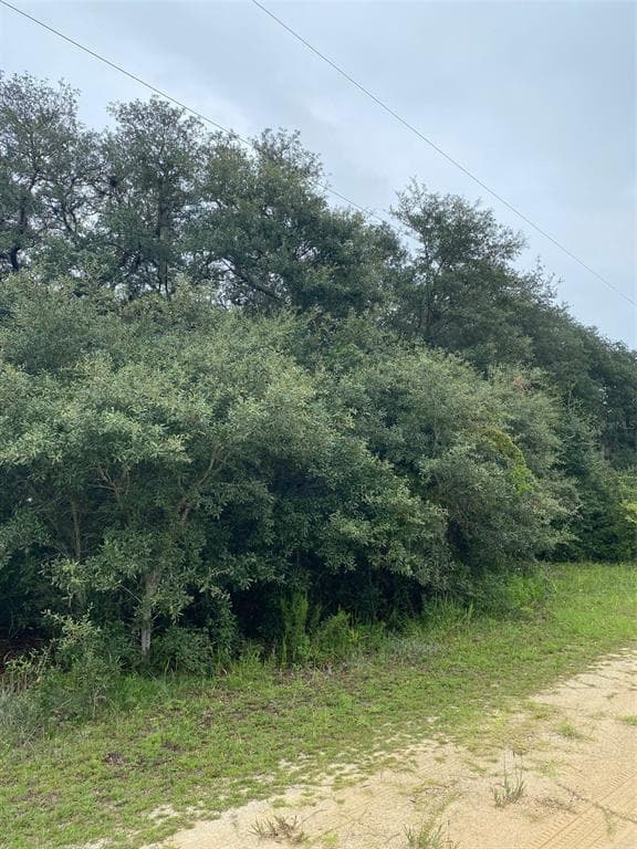 122 DENVER DRIVE INTERLACHEN, FL 32148