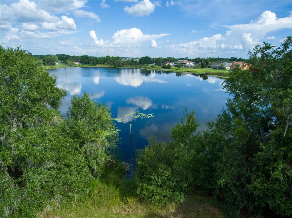 CARSON DRIVE LAND O LAKES, FL 34639