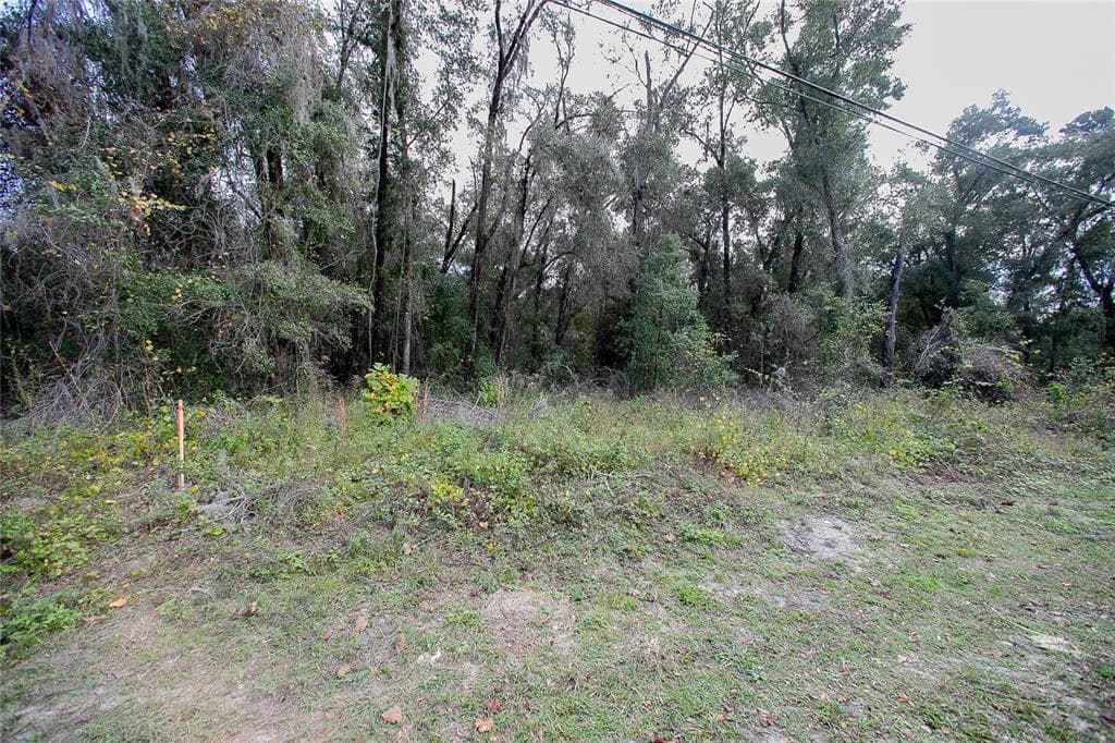4725 S SILVER FOX TERRACE INVERNESS, FL 34452