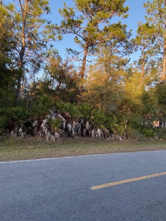 0 SW 155 STREET DUNNELLON, FL 34432