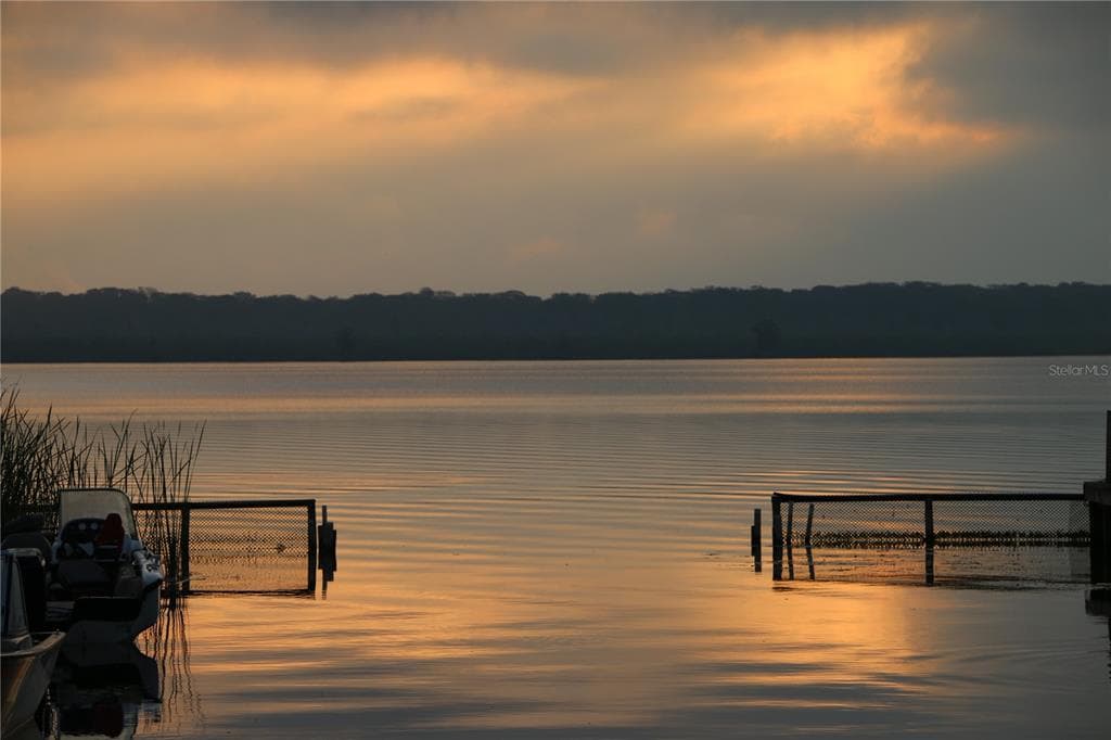 933 CR 461 LAKE PANASOFFKEE, FL 33538