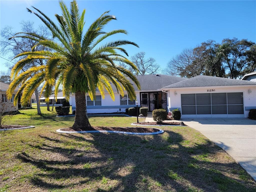 11250 RIDDLE DRIVE SPRING HILL, FL 34609