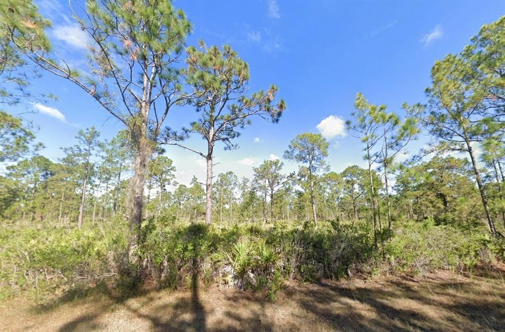 309 GRANADA DRIVE INDIAN LAKE ESTATES, FL 33855