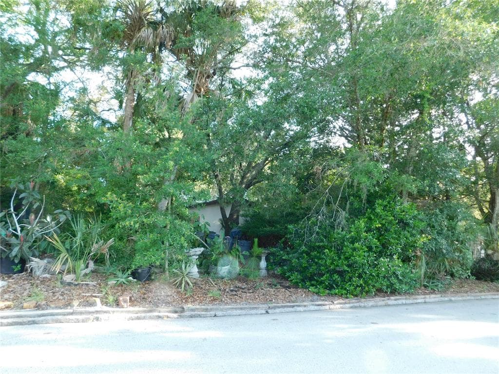 160 JOYCE STREET SAFETY HARBOR, FL 34695