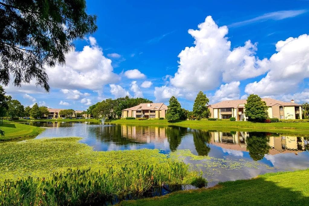 10265 GANDY BOULEVARD N UNIT 709 ST PETERSBURG, FL 33702