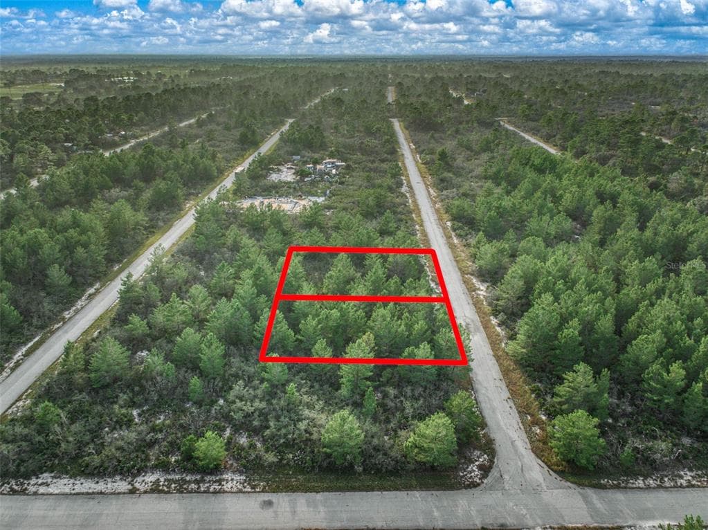 3330 LIANE (AKA PINE KNOLL) ROAD LAKE PLACID, FL 33852