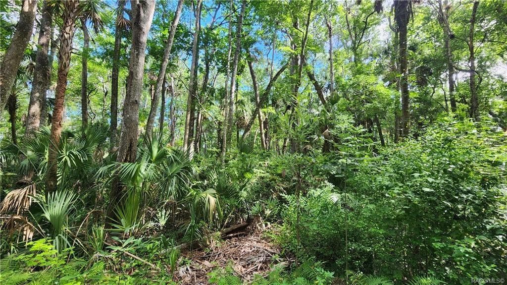 10078 W VIRGINIA STREET HOMOSASSA, FL 34448