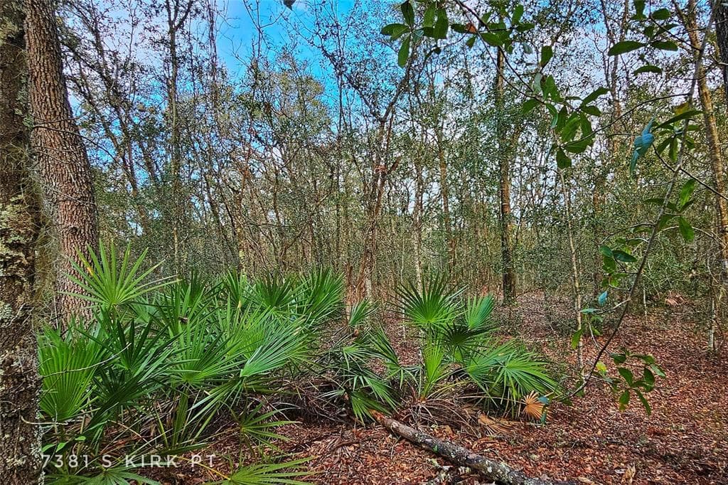 7381 S KIRK POINT LECANTO, FL 34461