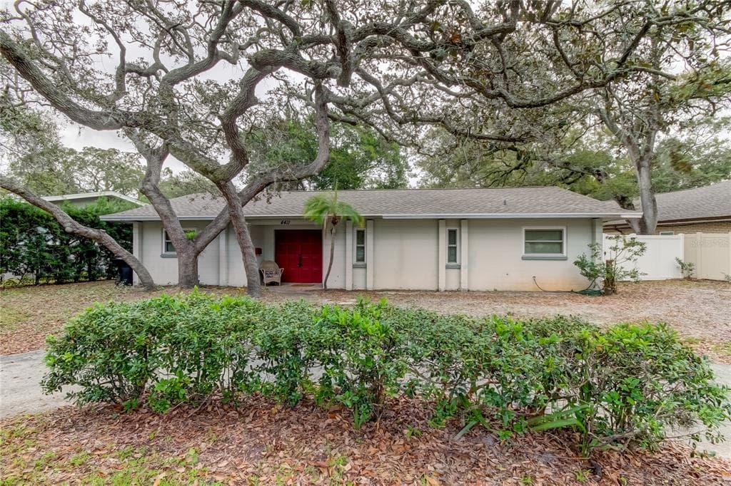 4411 15TH STREET N ST PETERSBURG, FL 33703