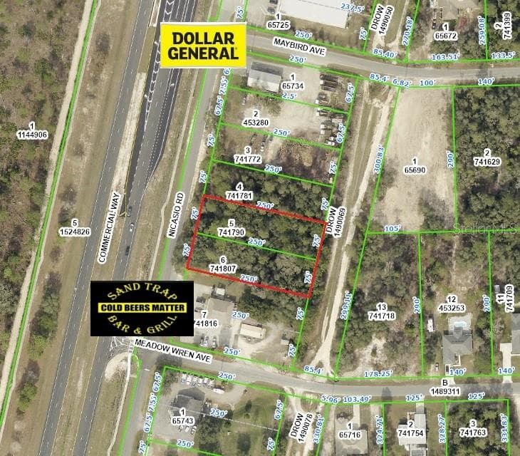 10524 NICASIO ROAD WEEKI WACHEE, FL 34613