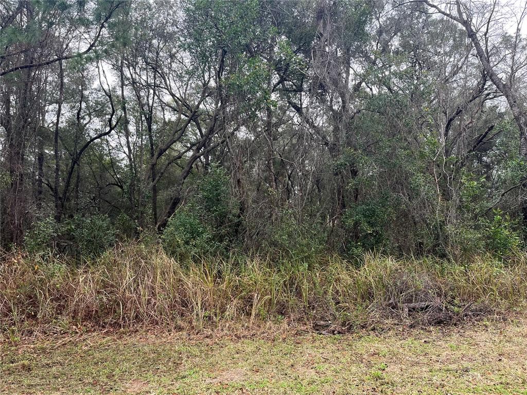 8399 N SARAZEN DRIVE CITRUS SPRINGS, FL 34434