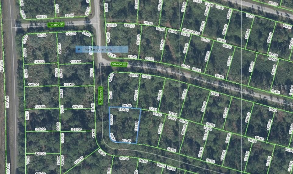 8746 ROBBIA STREET SEBRING, FL 33872