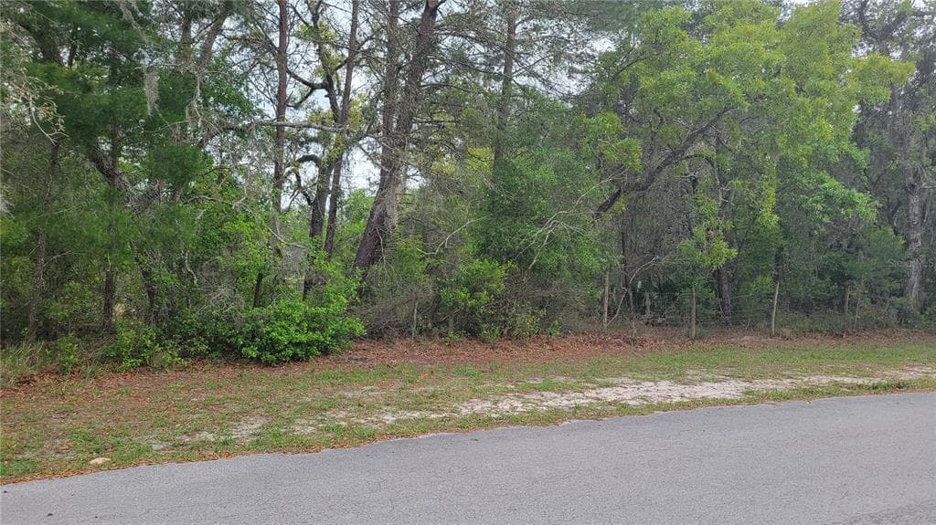 RABBIT DRIVE NEW PORT RICHEY, FL 34654