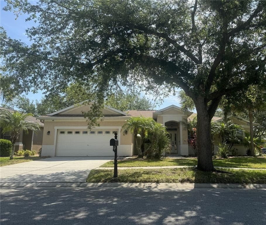 11739 HOLLY CREEK DIVIDE RIVERVIEW, FL 33569