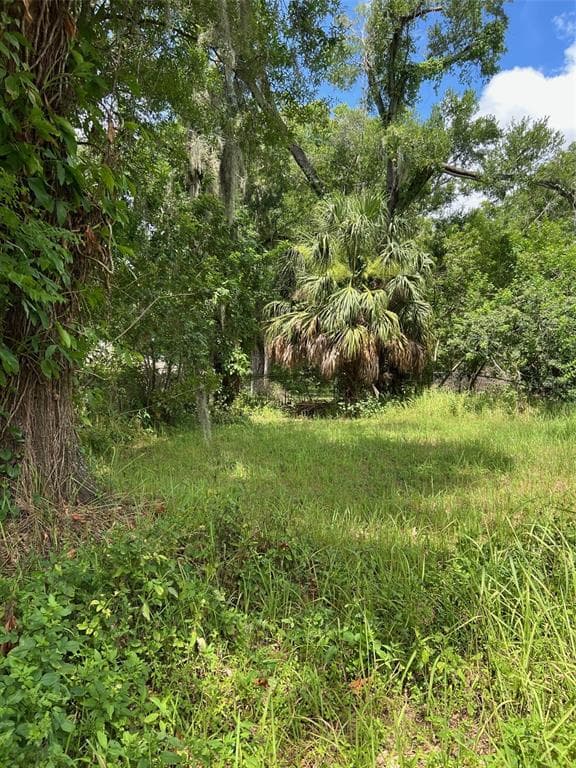 3107 N 76TH STREET TAMPA, FL 33619
