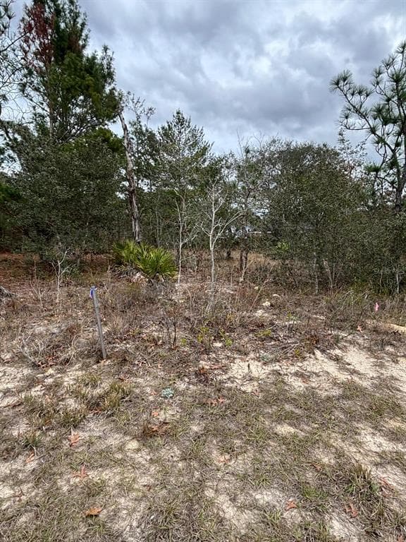 50 LONE PINE STREET HOMOSASSA, FL 34446