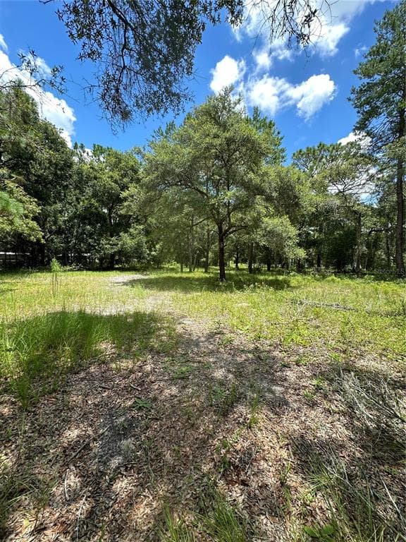 18223 RIGSBY ROAD SPRING HILL, FL 34610